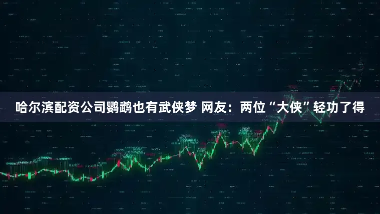 哈尔滨配资公司鹦鹉也有武侠梦 网友：两位“大侠”轻功了得