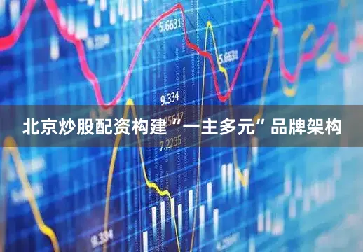 北京炒股配资构建“一主多元”品牌架构