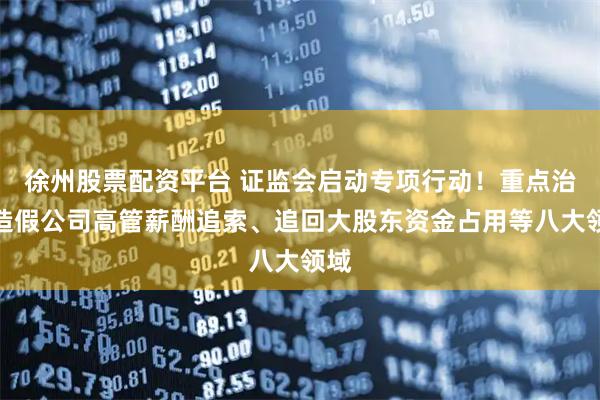 徐州股票配资平台 证监会启动专项行动！重点治理造假公司高管薪酬追索、追回大股东资金占用等八大领域