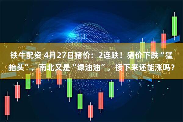 铁牛配资 4月27日猪价：2连跌！猪价下跌“猛抬头”，南北又是“绿油油”，接下来还能涨吗？