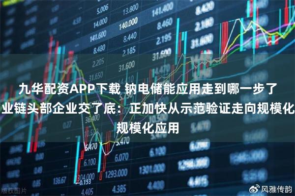 九华配资APP下载 钠电储能应用走到哪一步了？产业链头部企业交了底：正加快从示范验证走向规模化应用